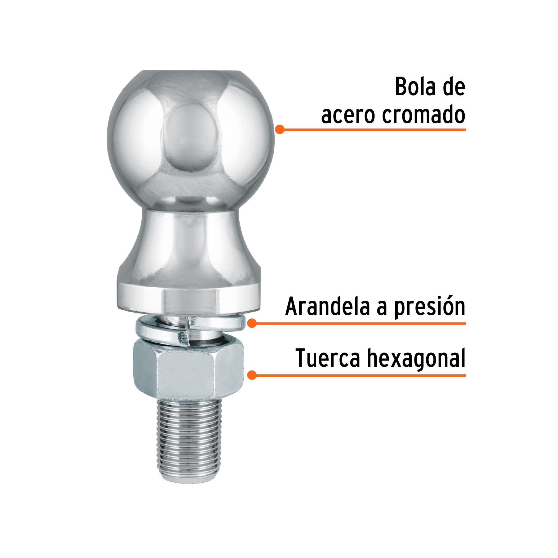 BOLA-20+FC1